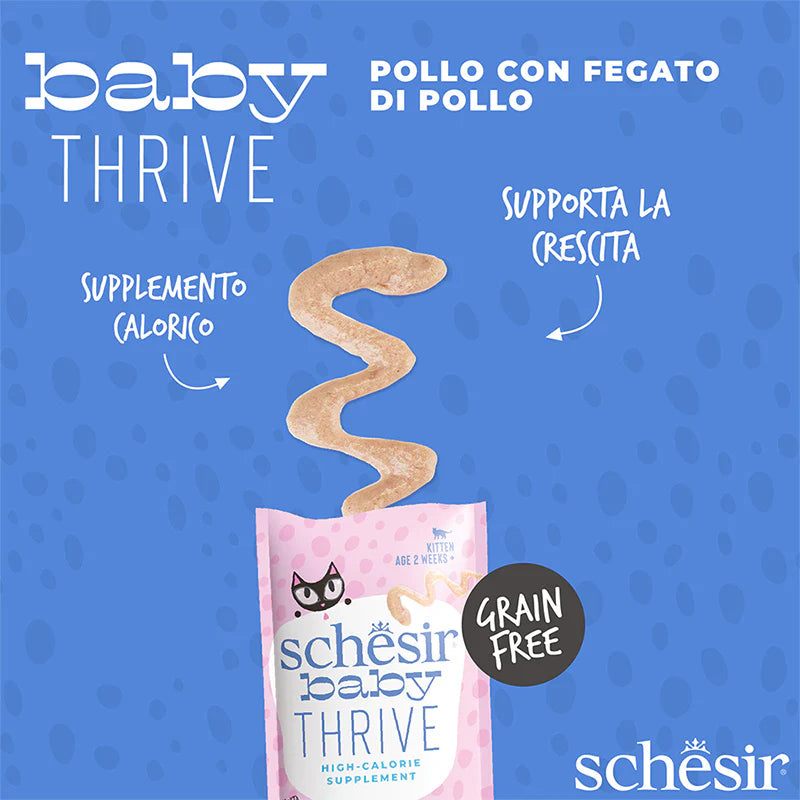 Schesir Baby Thrive Pollo con Fegato in Crema 20x8g - Umido per Gatto Schesir Baby Thrive Pollo con Fegato in Crema 20x8g - Umido per Gatto